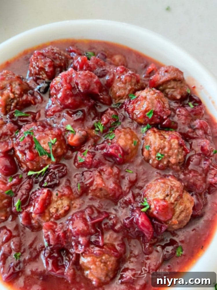 Dorothy's Zesty Cranberry Meatballs 1 featured 17027