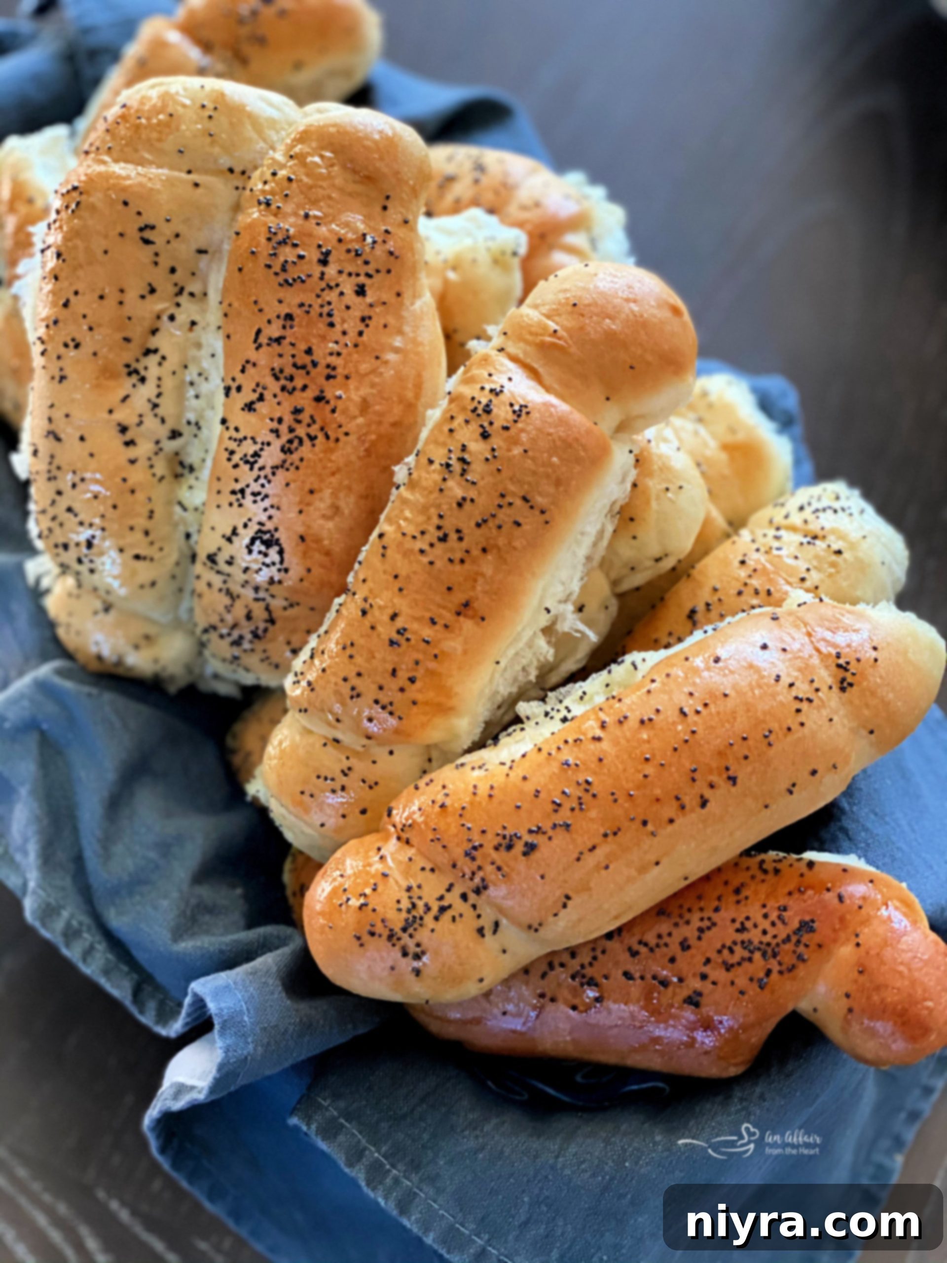 featured 19925 scaled