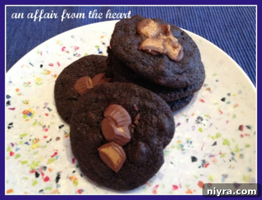 Peanut Butter Cup Stuffed Double Chocolate Cookies 1 featured 217
