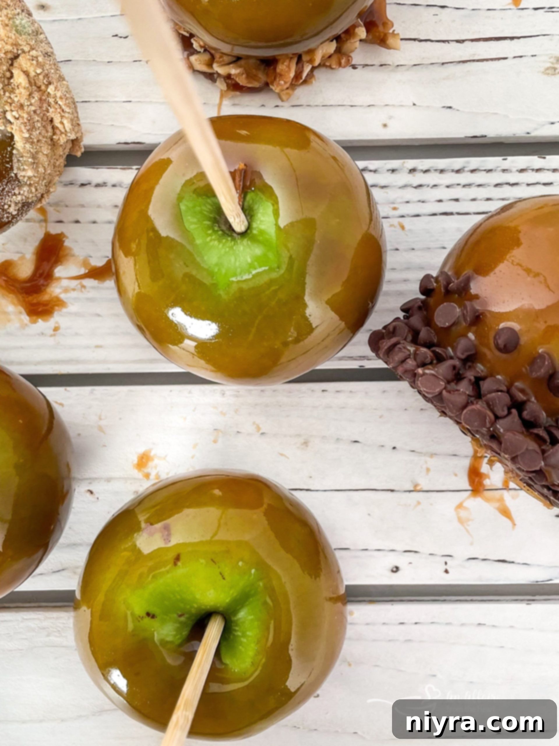 featured 23095 scaled