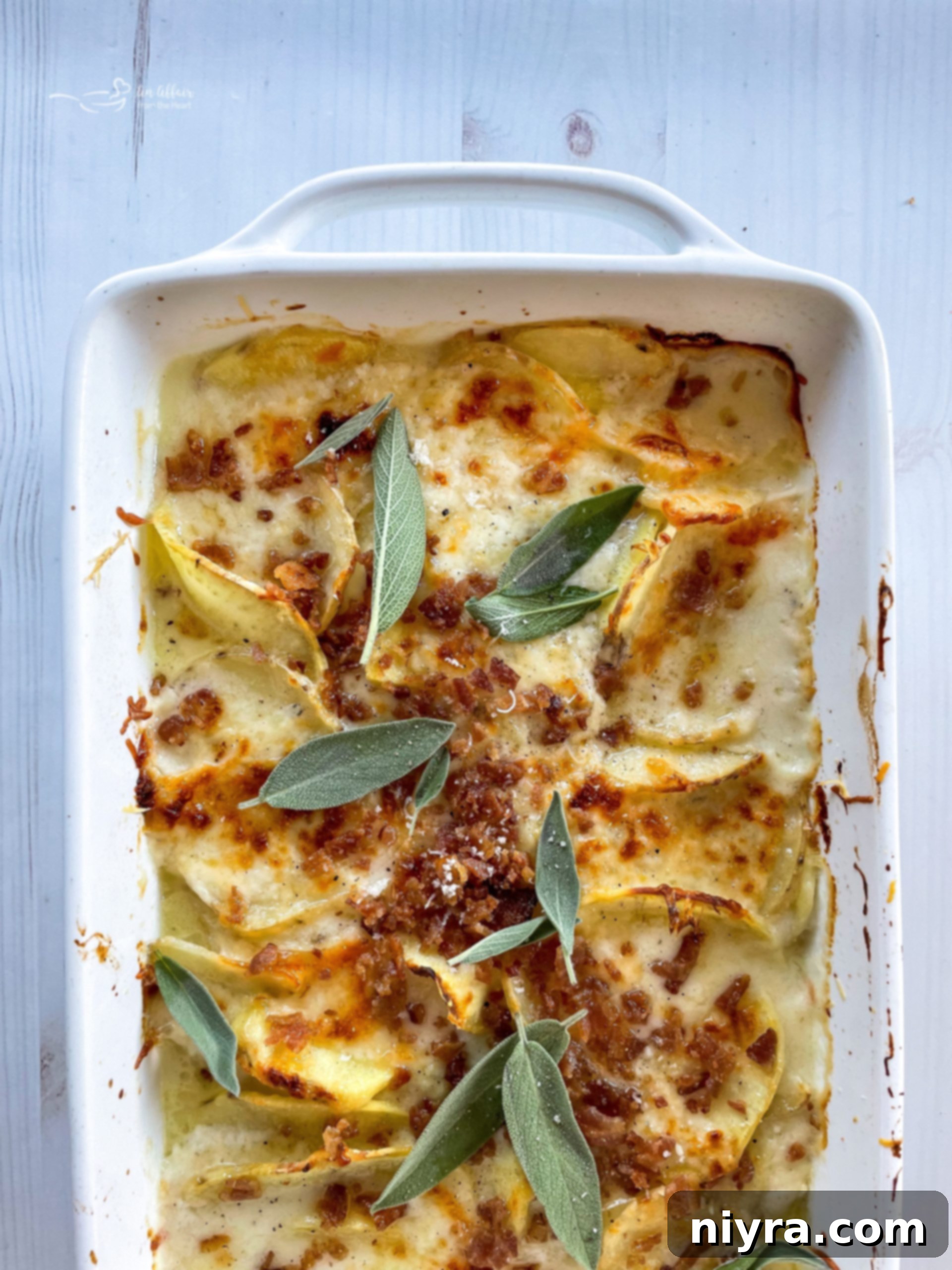 Golden-Crusted Creamy Potatoes 1 featured 23098