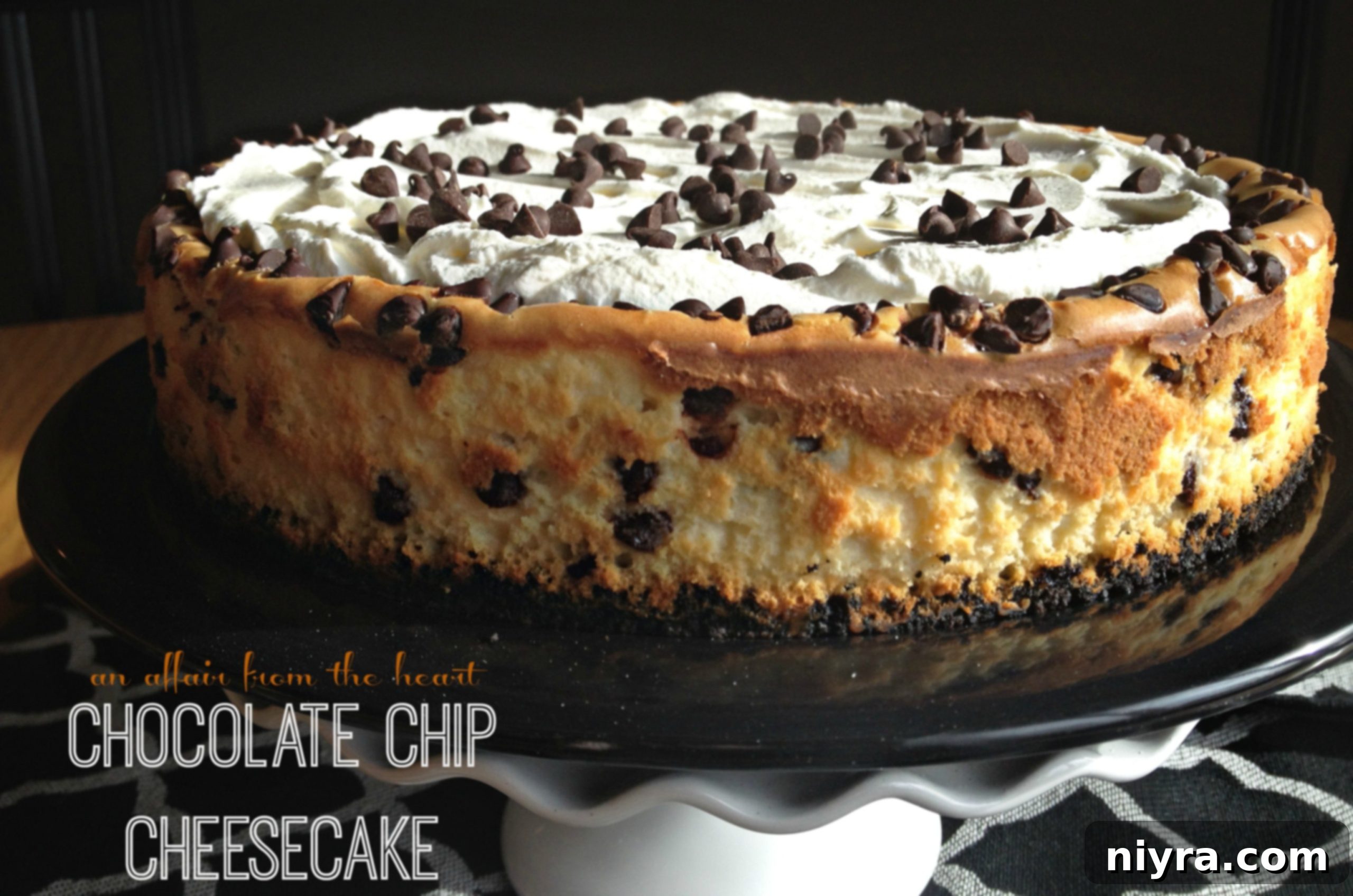 featured 2423 scaled