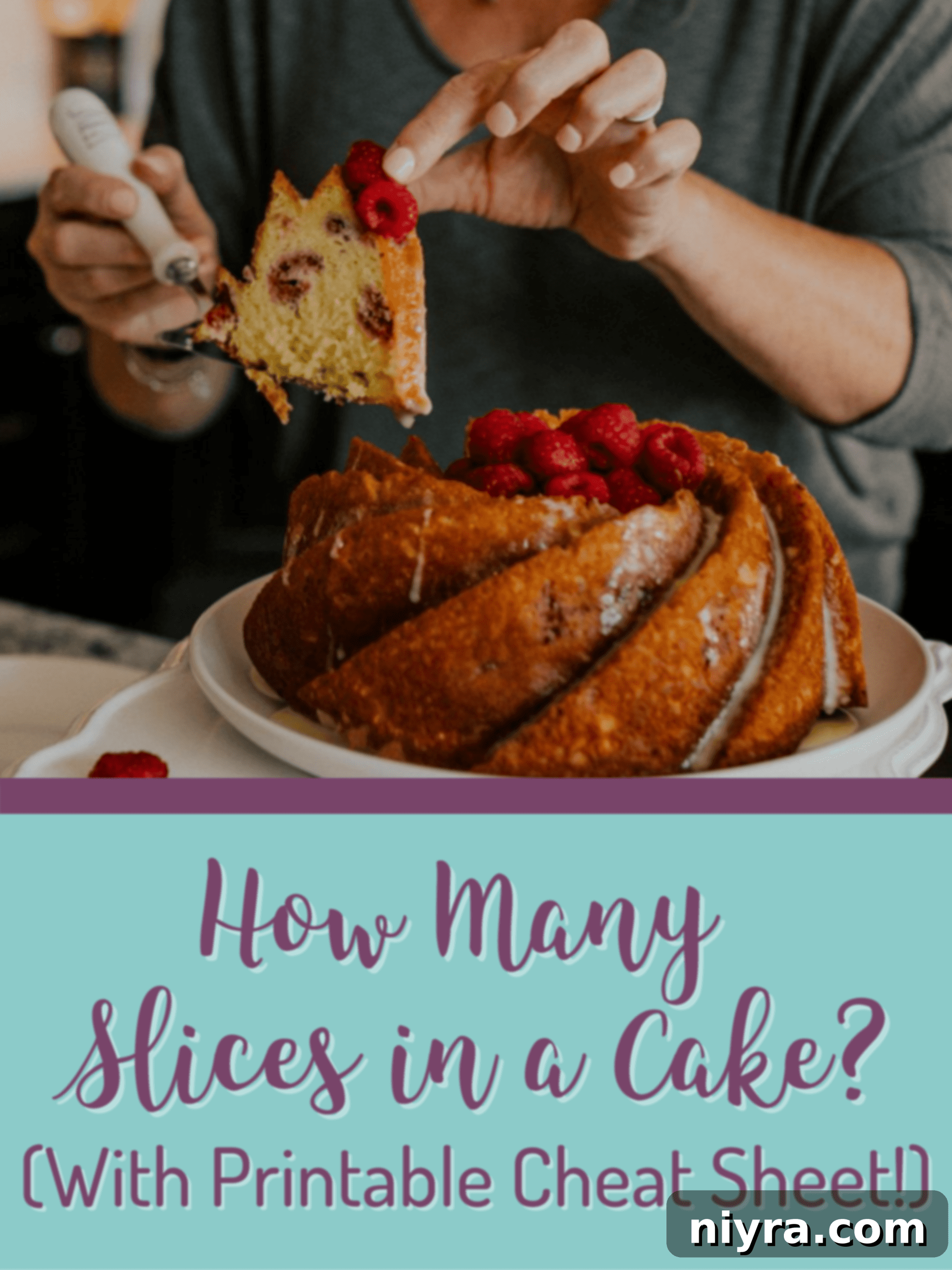 featured 29136 scaled