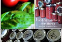 Canning Your Own Tomato Sauce