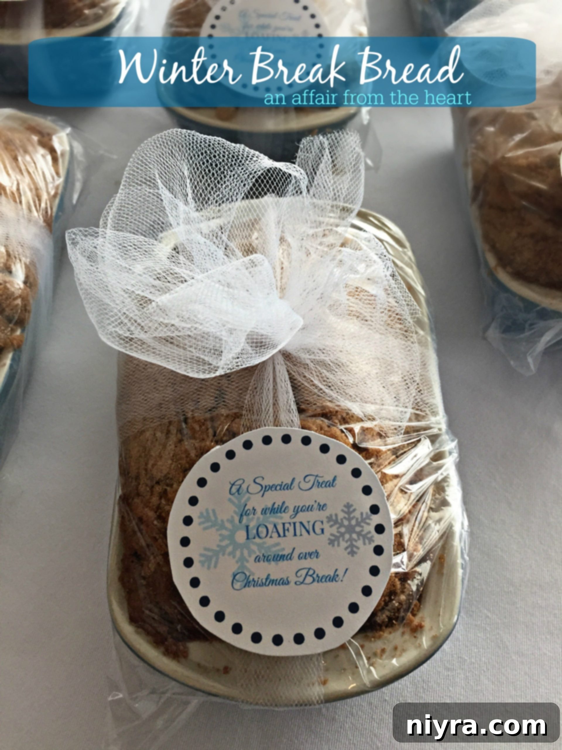 featured 3072 scaled