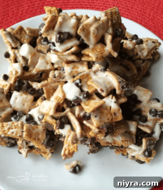 S'mores Delights 1 featured 5558