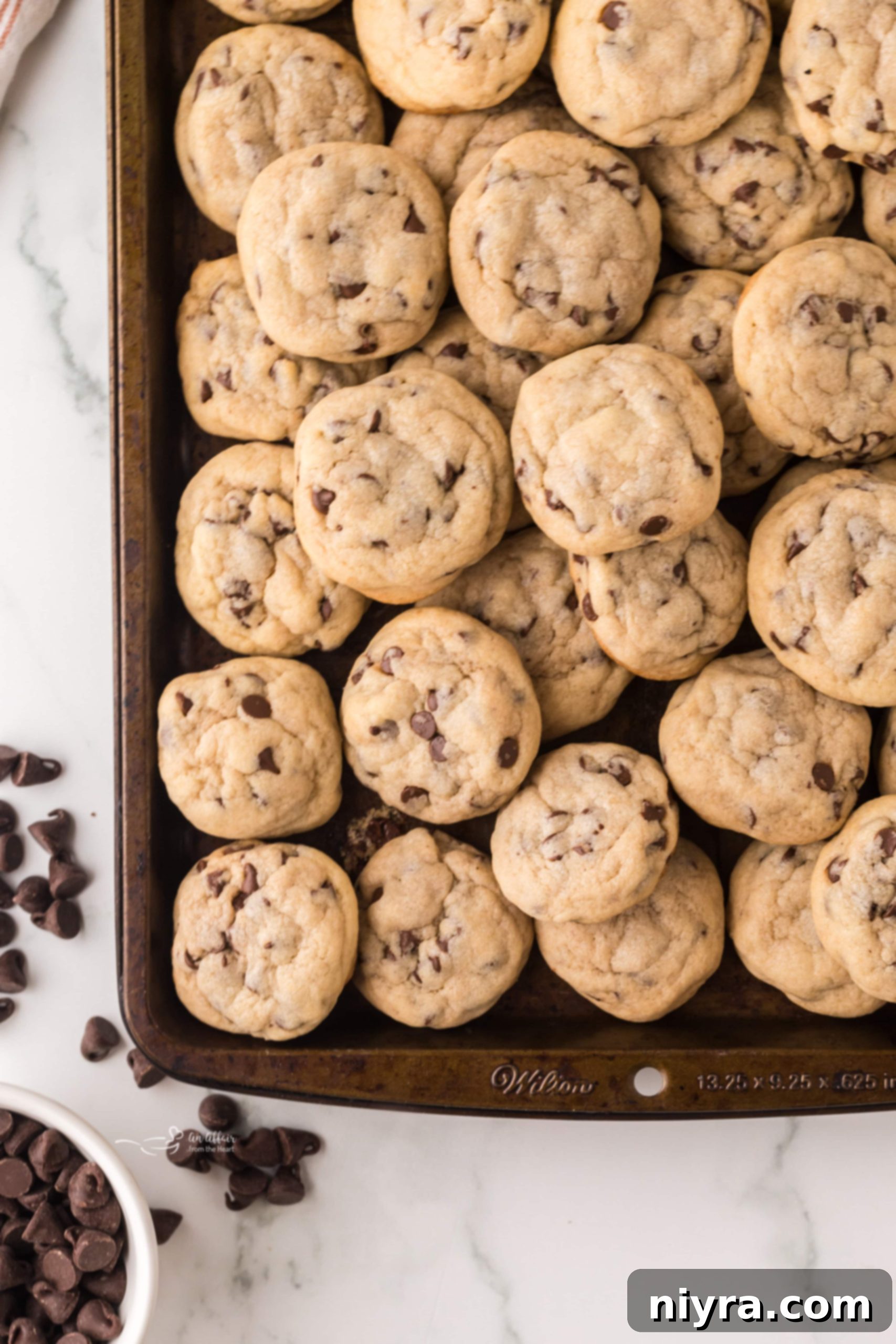 Bite-Sized Chocolate Chip Delights 1 featured 92547 scaled