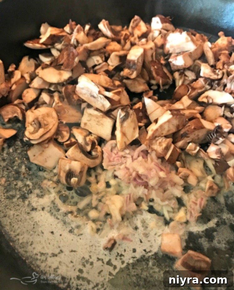 Creamy Kraut & Mushroom Noodles - An Affair from the Heart