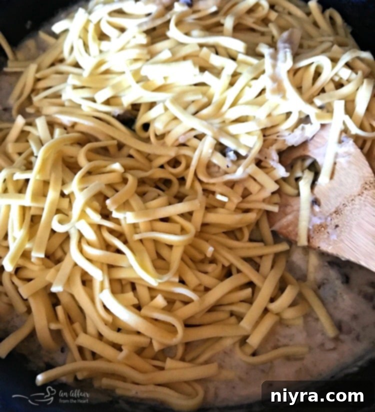 Creamy Kraut & Mushroom Noodles - An Affair from the Heart