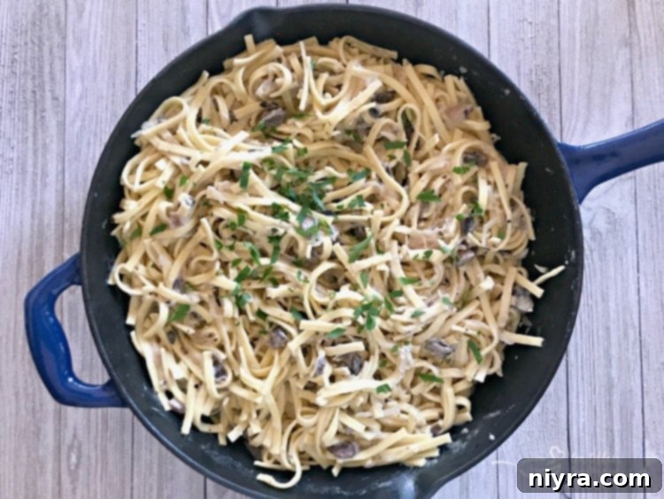 Creamy Kraut & Mushroom Noodles - An Affair from the Heart