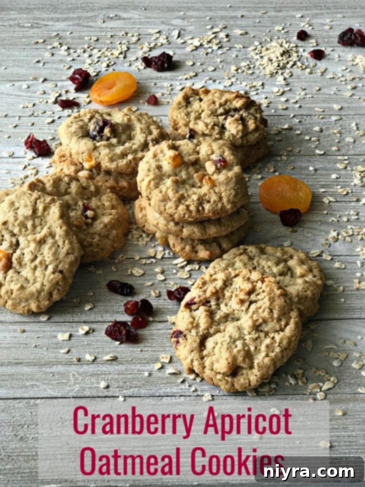 Plate of Cranberry Apricot Oatmeal Cookies with a bite taken out of one