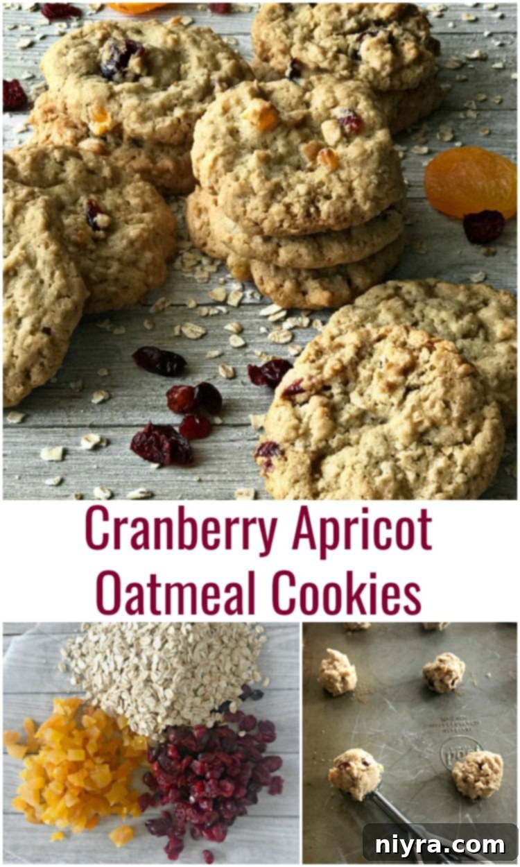 Closeup of a freshly baked Cranberry Apricot Oatmeal Cookie