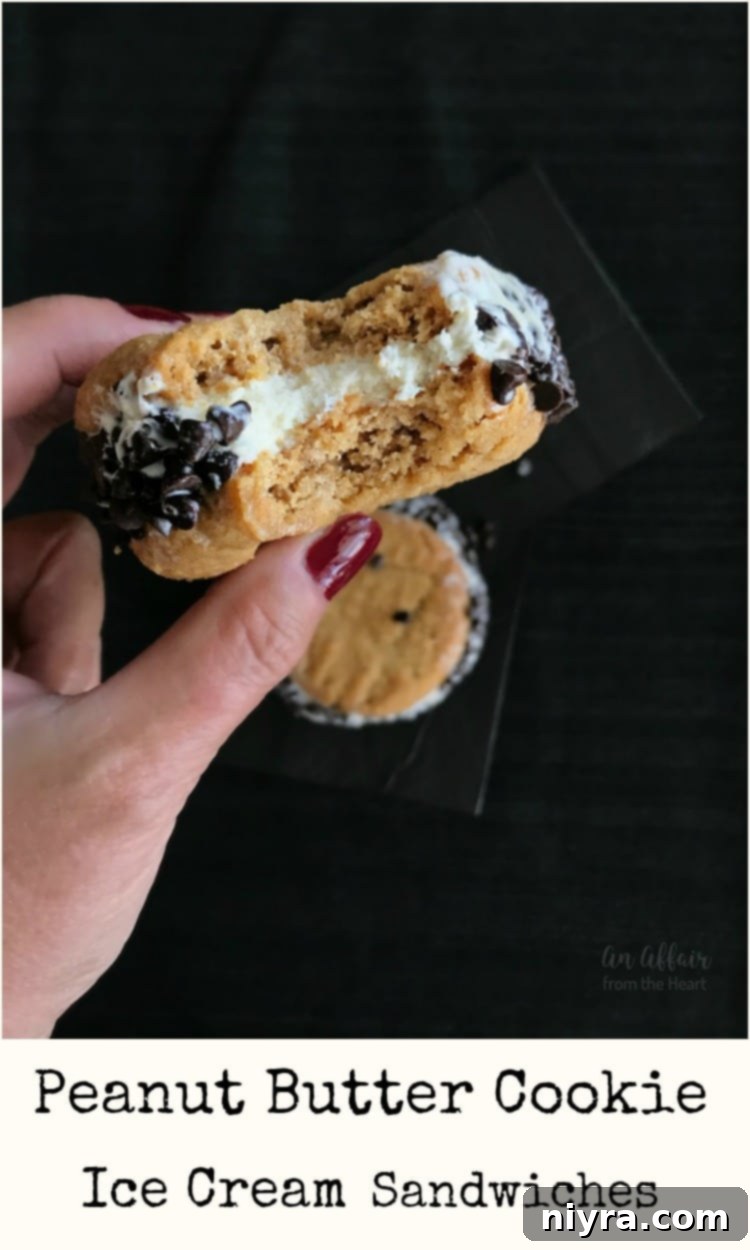 Peanut Butter Cookie Ice Cream Sandwiches - An Affair from the Heart