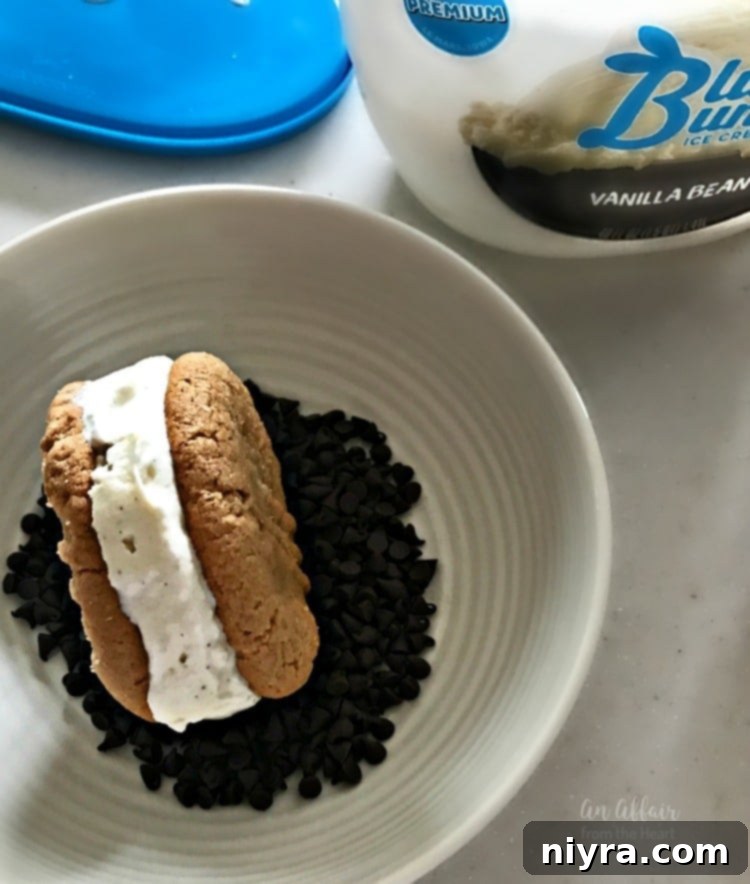 Peanut Butter Cookie Ice Cream Sandwiches