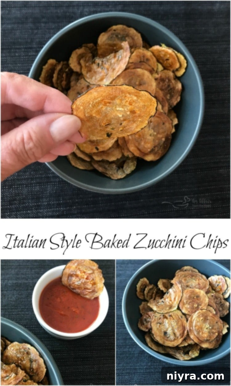 Italian Style Baked Zucchini Chips An Affair from the Heart