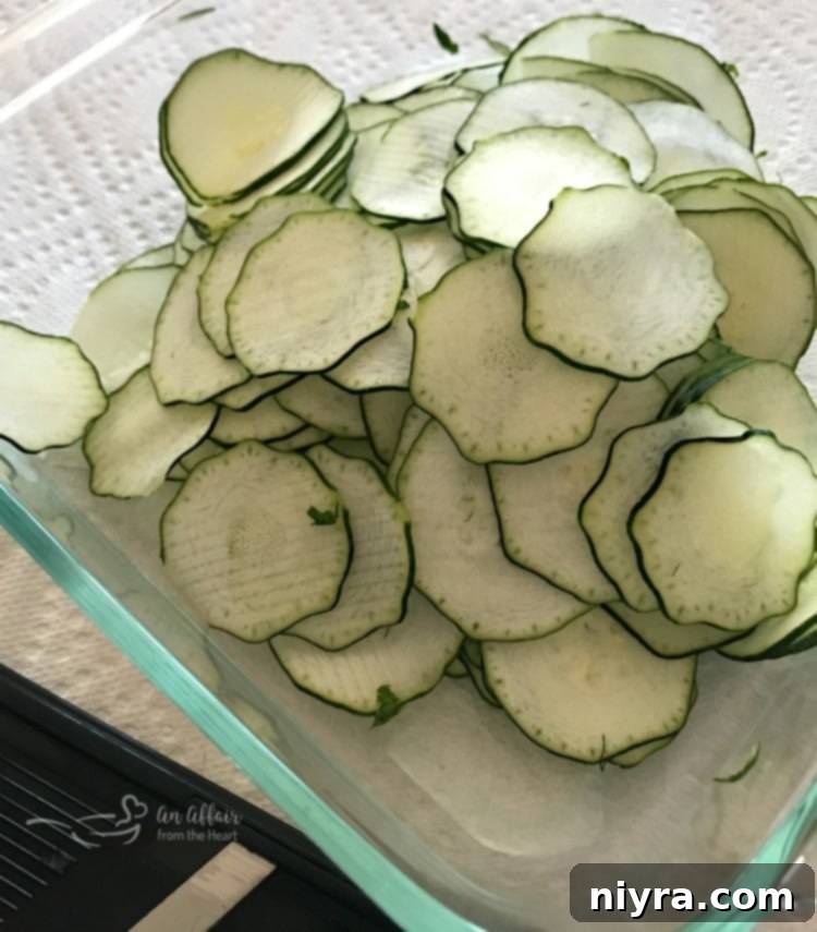 Italian Style Baked Zucchini Chips sliced