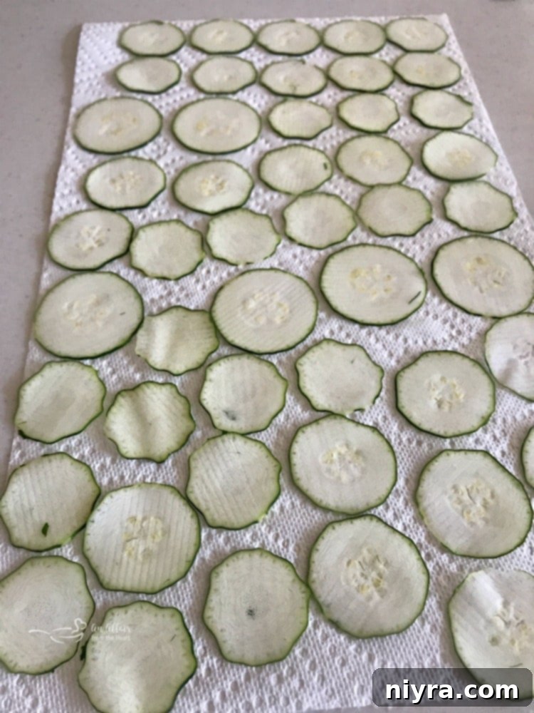 Italian Style Baked Zucchini Chips on paper towel