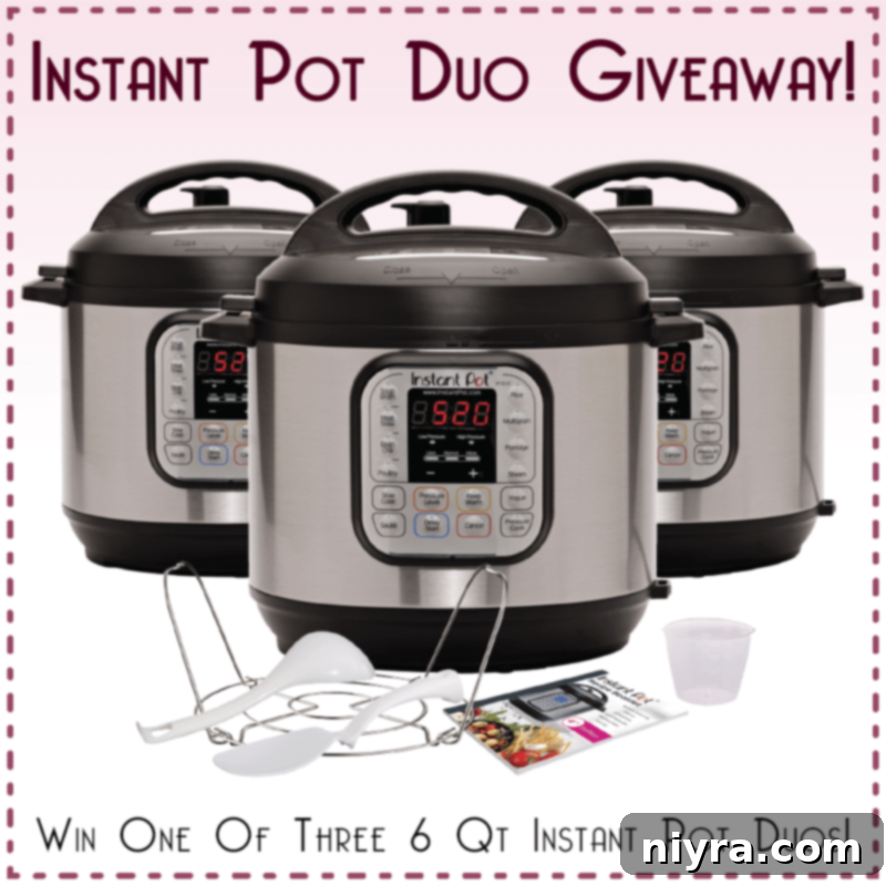 An Instant Pot Duo, 6-quart model, showcasing its sleek design and functionality.