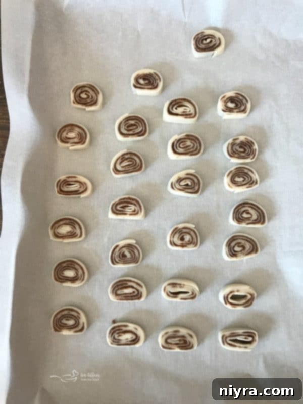 Close-up of neatly sliced pumpkin spice pinwheel cookies arranged on parchment paper, ready for baking