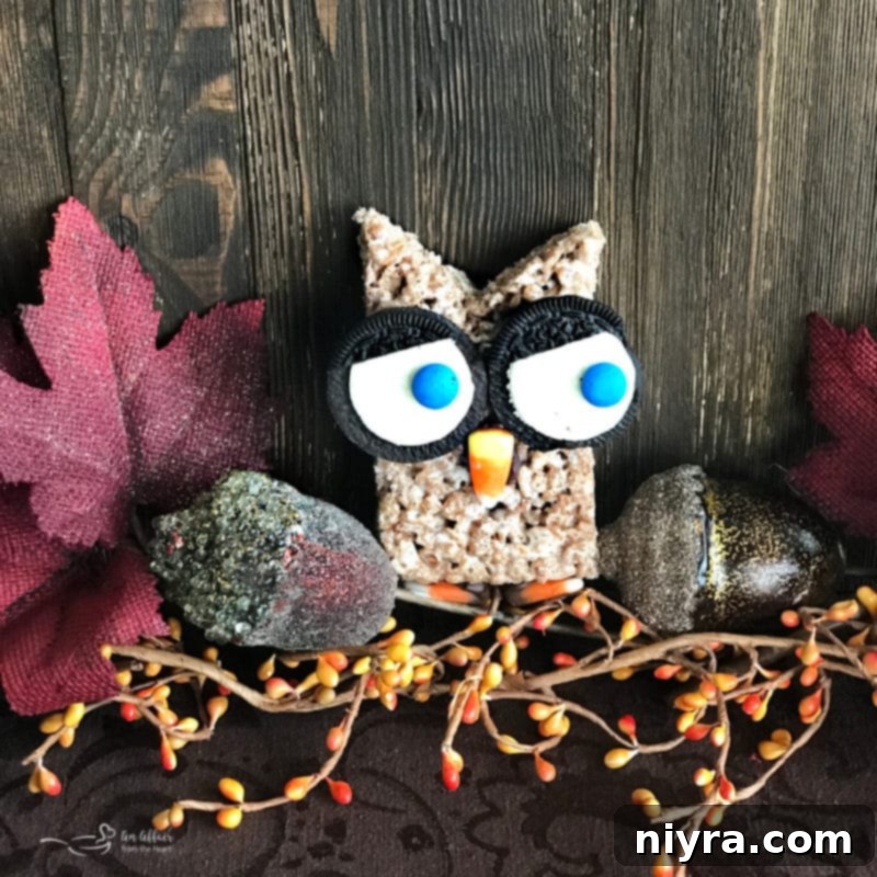 Video thumbnail for Cocoa Krispie Owls recipe