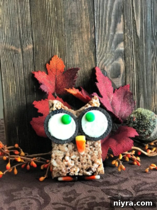 Close-up of a partially decorated Cocoa Krispy Owl treat