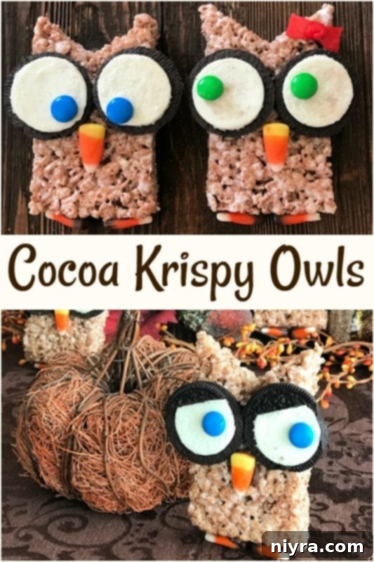 Close-up of a decorated Cocoa Krispy Owl with M&M eyes and candy corn beak