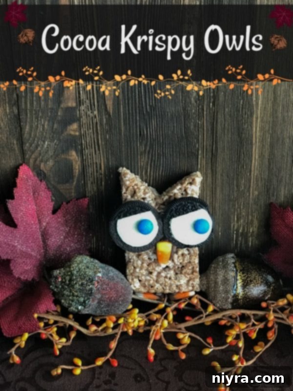 Finished Cocoa Krispy Owls on a wooden board