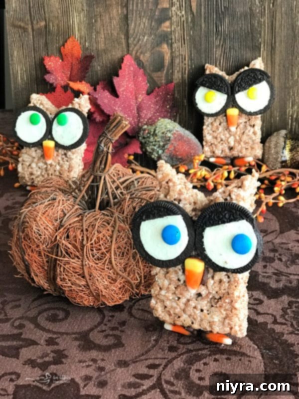 A family of Cocoa Krispy Owls with different expressions