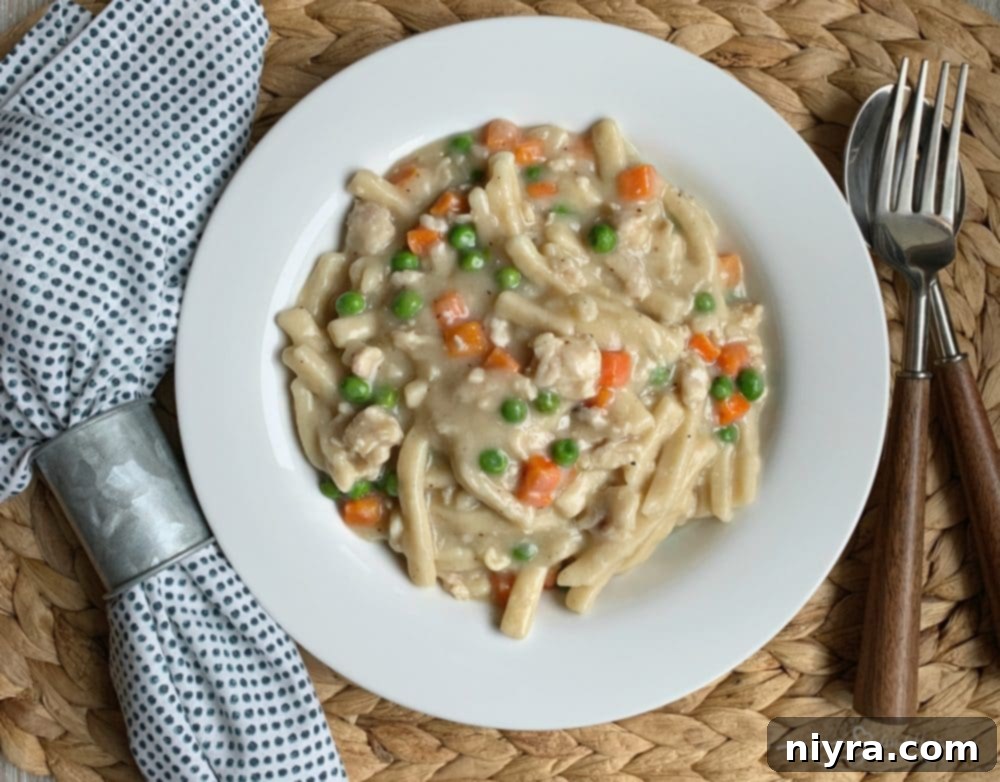 Gary's Easy 20-Minute Chicken and Noodles 10 Serving 20 Minute Chicken & Noodles