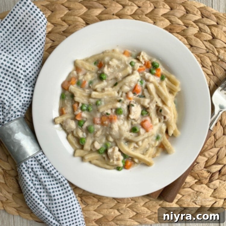 Gary's Easy 20-Minute Chicken and Noodles 11 Gary's 20 Minute Chicken & Noodles finished dish