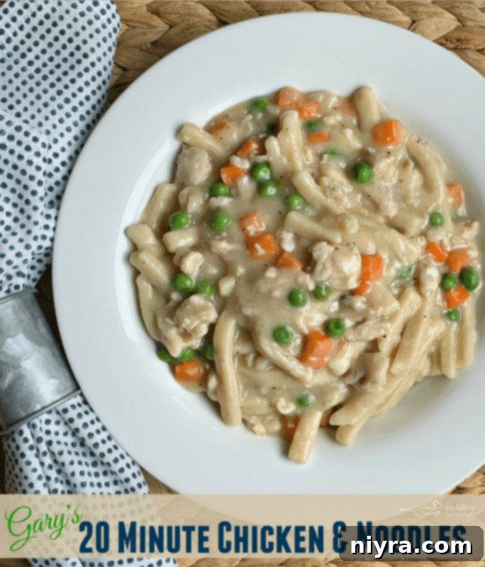 Gary's Easy 20-Minute Chicken and Noodles 12 Gary's 20 Minute Chicken & Noodles hero shot