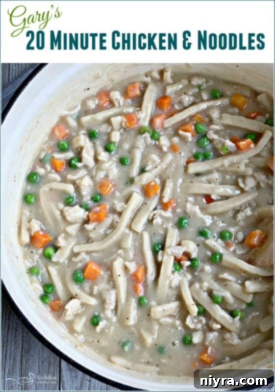 Gary's Easy 20-Minute Chicken and Noodles 3 Quick Chicken & Noodles - Perfect for busy evenings