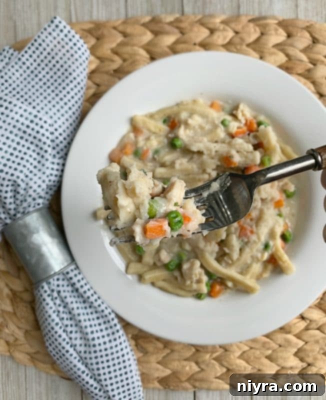 Gary's Easy 20-Minute Chicken and Noodles 6 Close-up bite of 20 Minute Chicken & Noodles