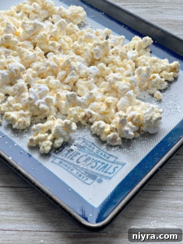 Detailed shot of Winter Wonderland Popcorn, highlighting its snowy coating