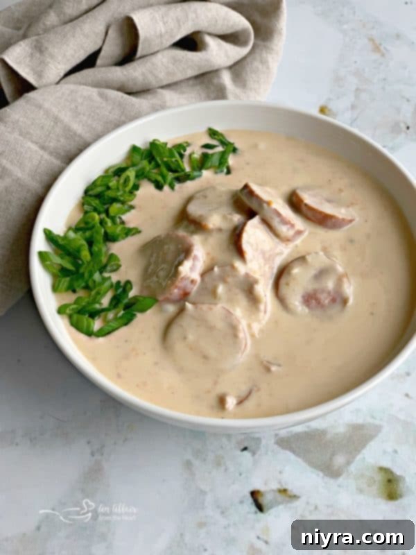 Hearty Instant Pot Beer Cheese Soup with Tangy Kraut and Smoked Kielbasa 8 Instant Pot Beer Cheese Soup garnished with fresh green onions