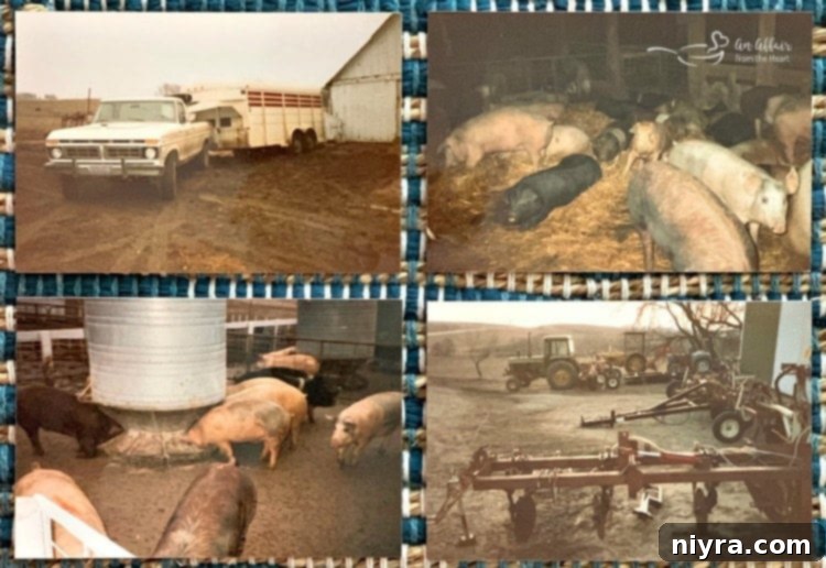 Tender Instant Pot Dr Pepper BBQ Pork Ribs 13 Iowa Pork Farmer