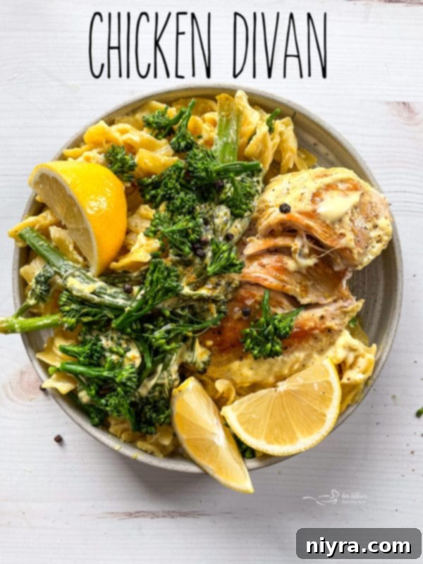 Beautifully plated Chicken Divan, ready for a meal