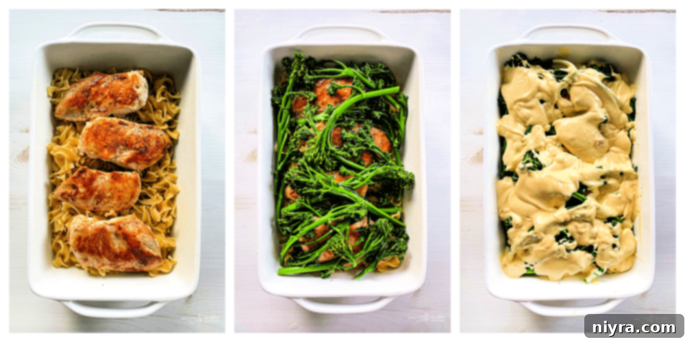 Step-by-step instructions for assembling Chicken Divan visually depicted