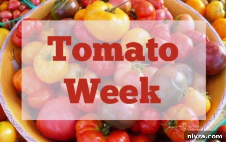 A collage of various tomato dishes, announcing Tomato Week.