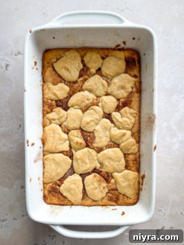 Close-up of the dolloped cookie dough and cinnamon-sugar layer before baking.