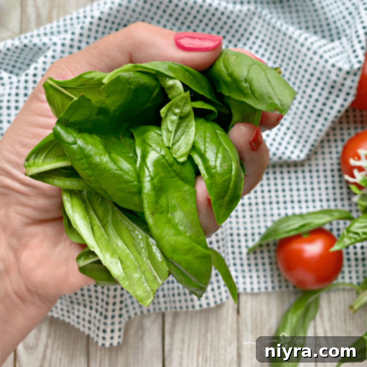 Fresh basil leaves, a key ingredient for authentic Homemade Marinara Sauce