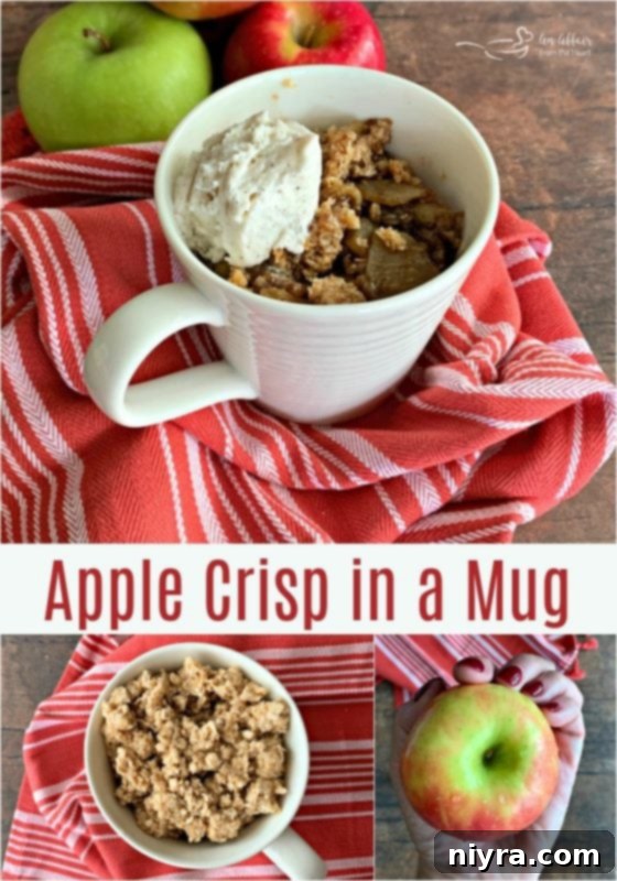 Apple Crisp in a Mug An Affair from the Heart