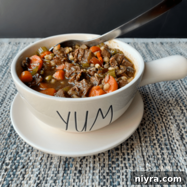 Instant Pot Vegetable Beef Soup
