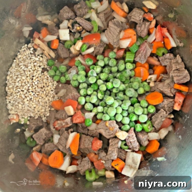 Instant Pot Vegetable Beef Soup