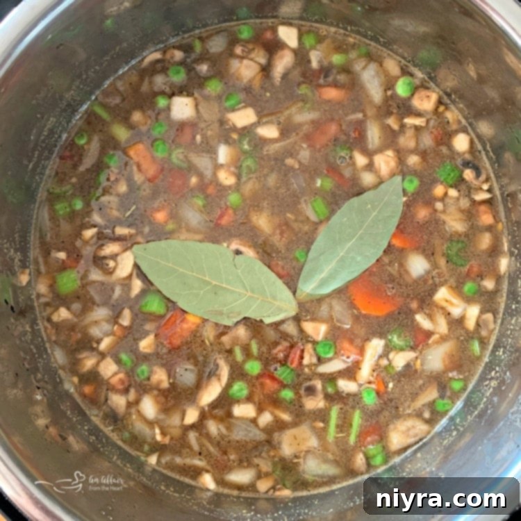 Instant Pot Vegetable Beef Soup