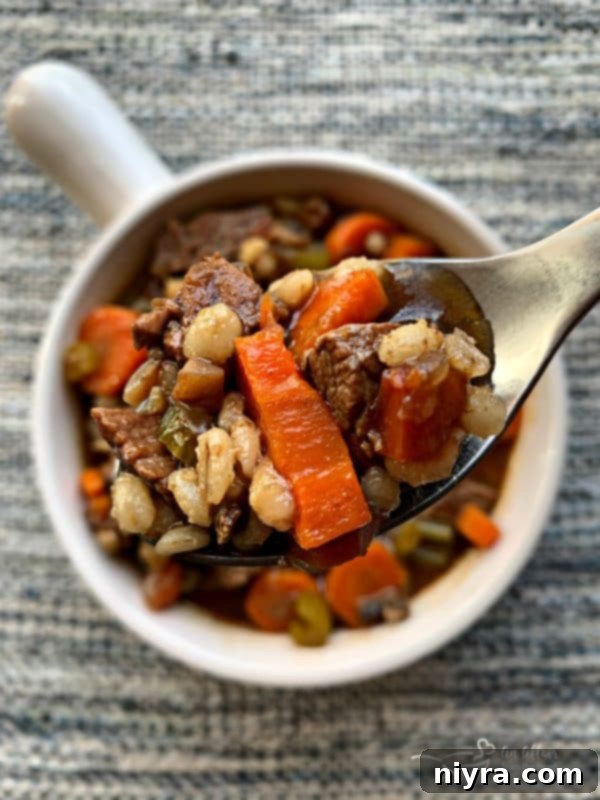 Instant Pot Vegetable Beef Soup
