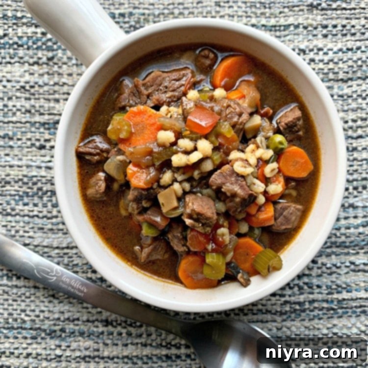 Instant Pot Vegetable Beef Soup