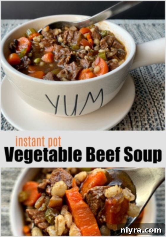 Instant Pot Vegetable Beef Soup