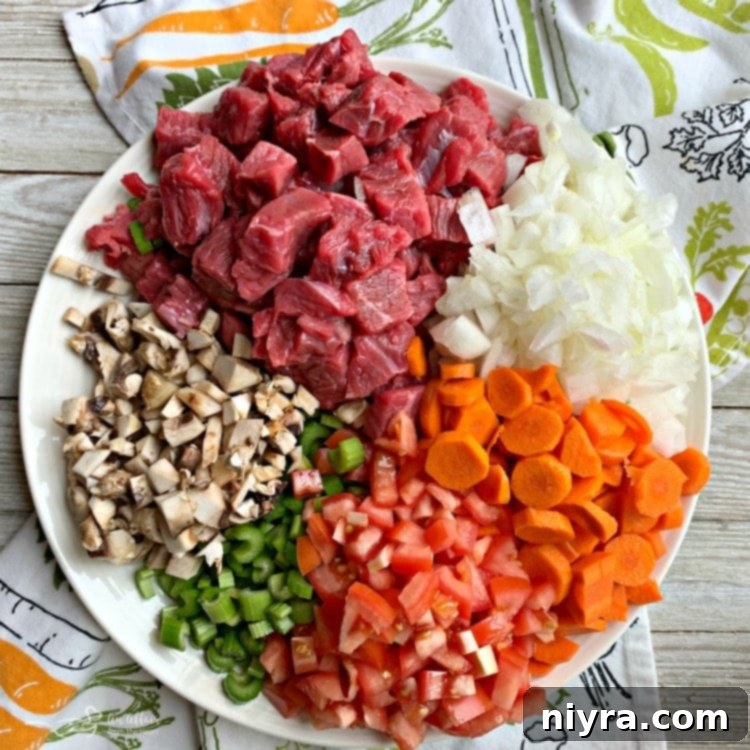 Instant Pot Vegetable Beef Soup