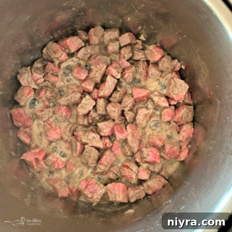 Instant Pot Vegetable Beef Soup